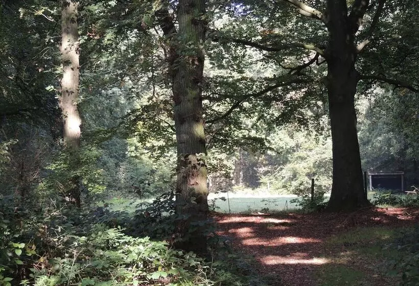 Hotelli De Oorsprong