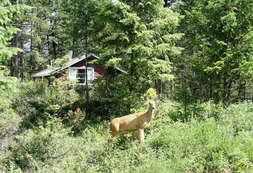 هتل Fairmont Mountain Bungalows