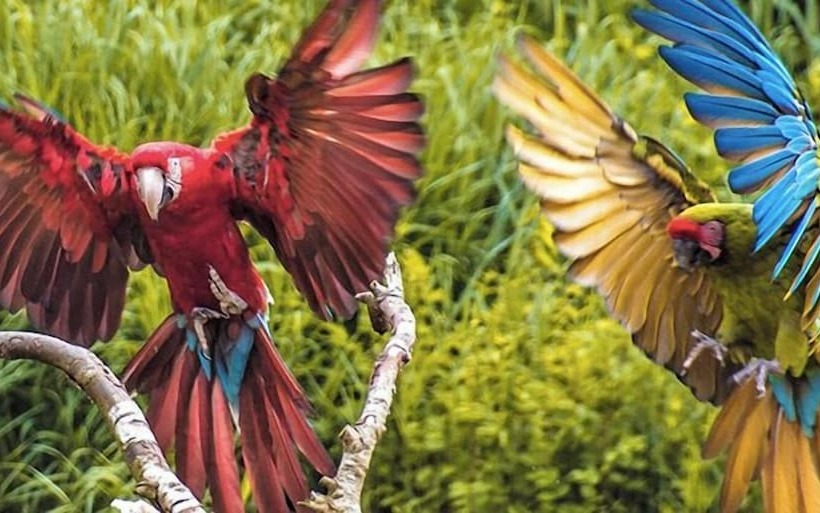 Hotel Heeren Van Noortwyck