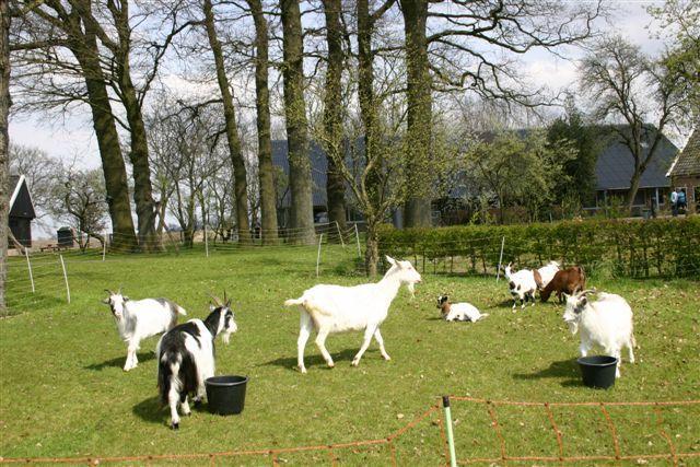 酒店 Landhoeve Zwieseborg