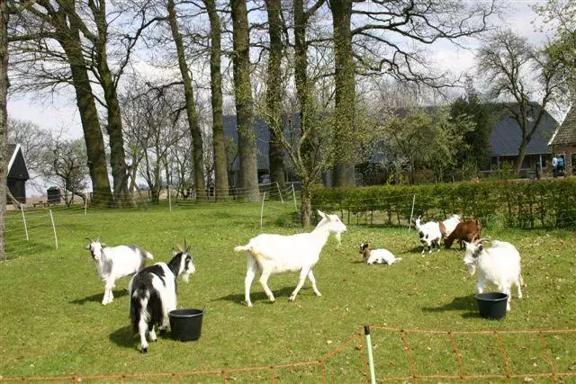 Hotelli Landhoeve Zwieseborg