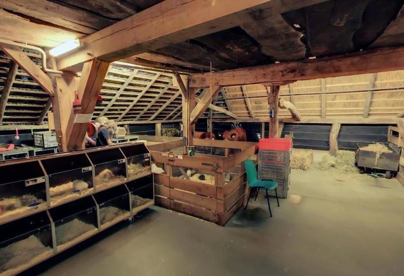 酒店 Landhoeve Zwieseborg