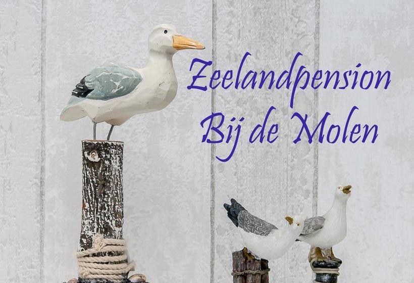 فندق Pension Bij De Molen