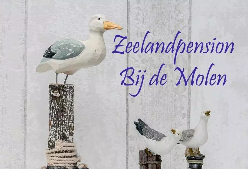 Hotelli Pension Bij De Molen