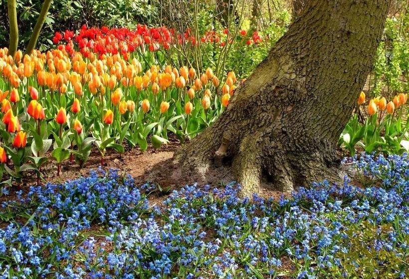 Kien Bed & Breakfast Studio S