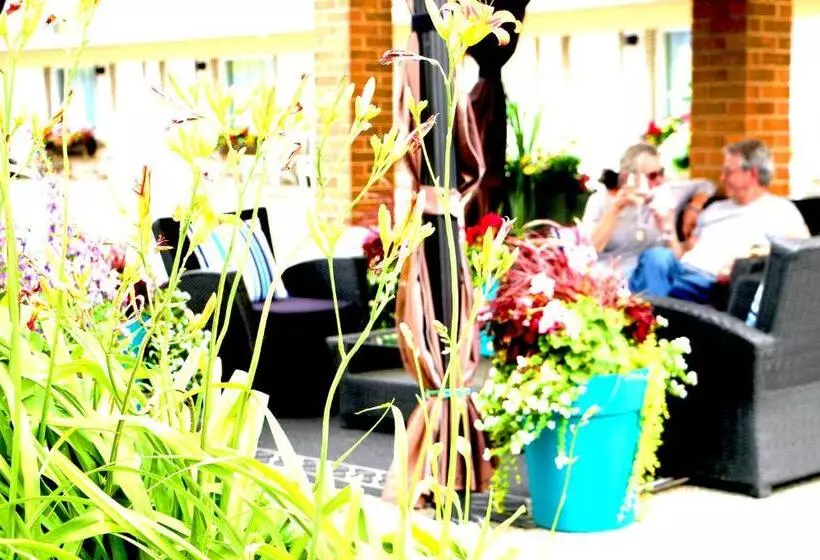 Motel Centre Ville