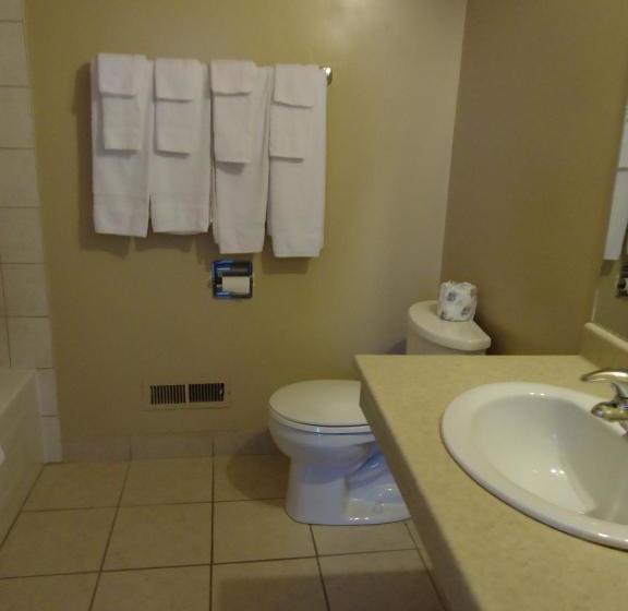 فندق على الطريق Kingsway Inn