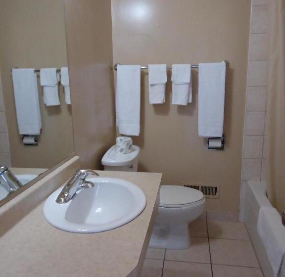 فندق على الطريق Kingsway Inn