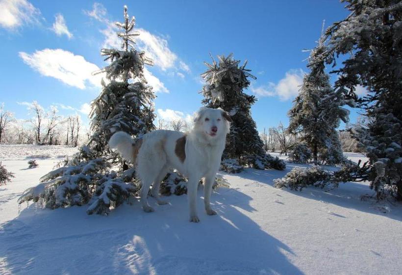 Stone Edge Estate Bed & Breakfast