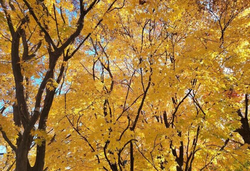 酒店 Seorak Mt., The East Sea And Hot Spring