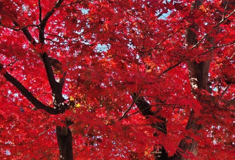 酒店 Seorak Mt., The East Sea And Hot Spring