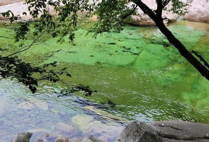 酒店 Seorak Mt., The East Sea And Hot Spring
