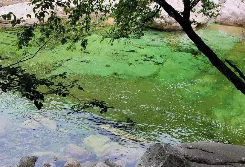 هتل Seorak Mt., The East Sea And Hot Spring