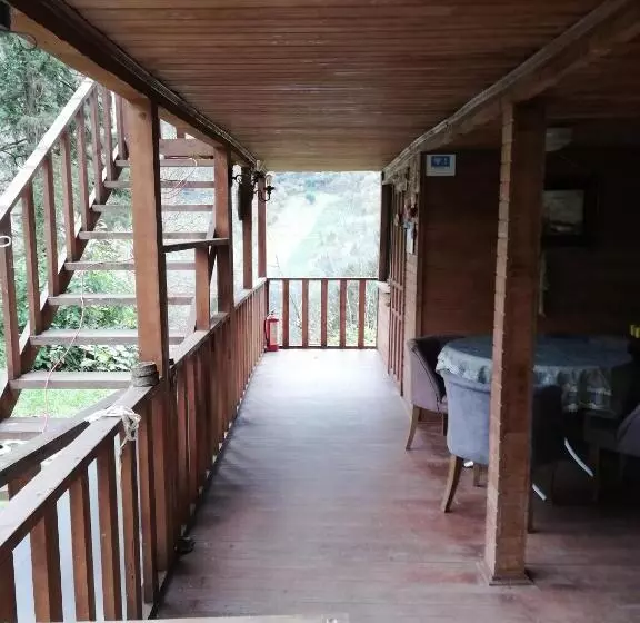 çelina Apart