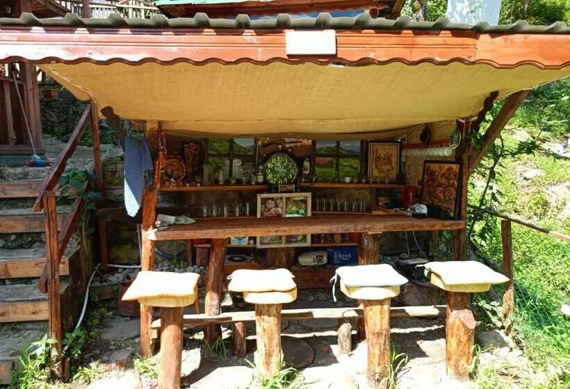 çelina Apart
