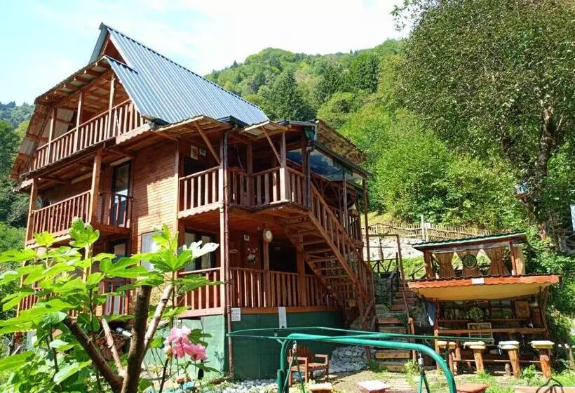 çelina Apart