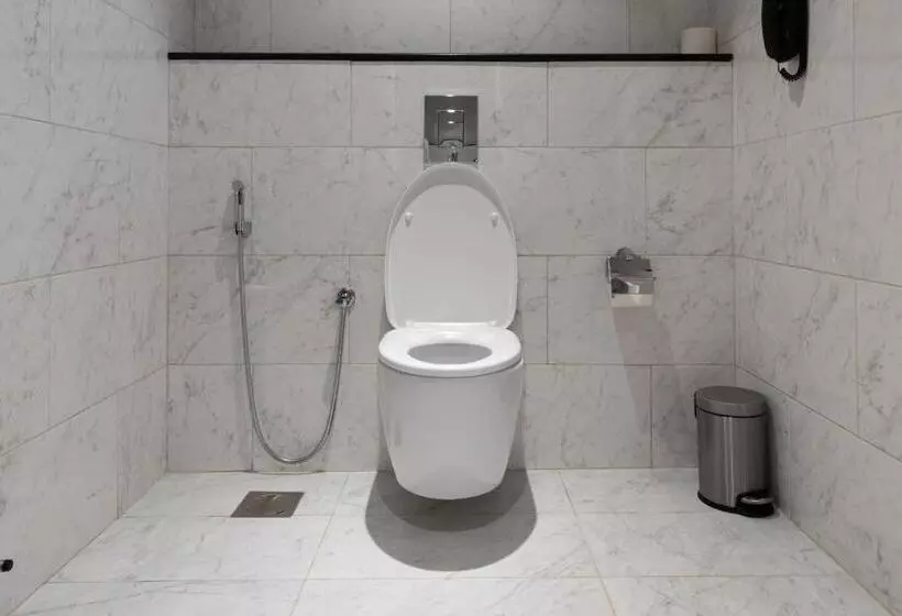 هتل Djibouti Ayla Grand