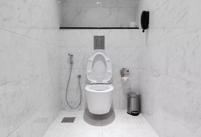 هتل Djibouti Ayla Grand