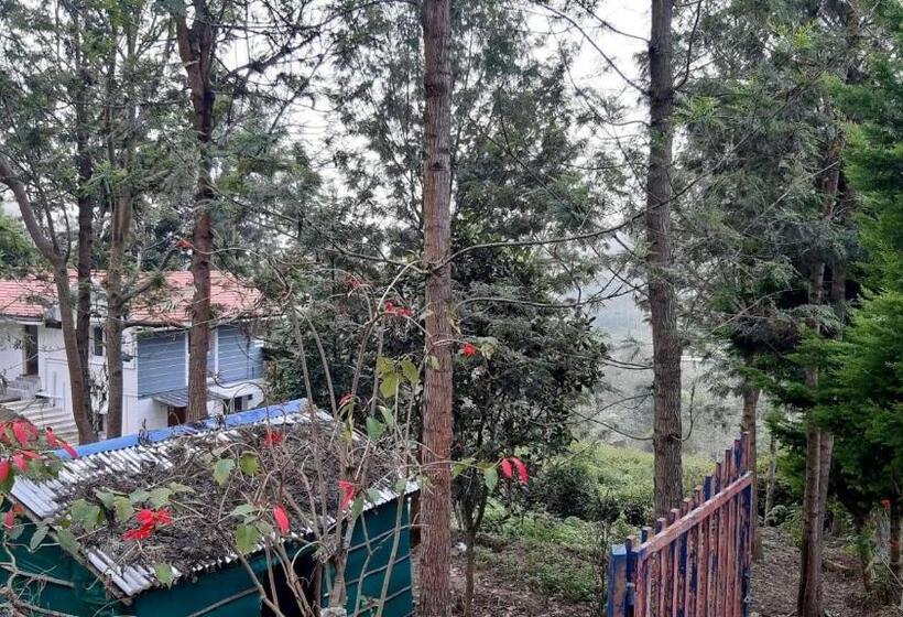 בית מלון כפרי Jacaranda Resorts