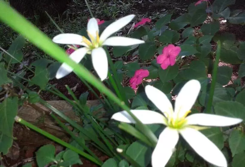 Retkeilymaja Cabañas Sueño Azul