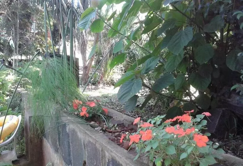 Retkeilymaja Cabañas Sueño Azul