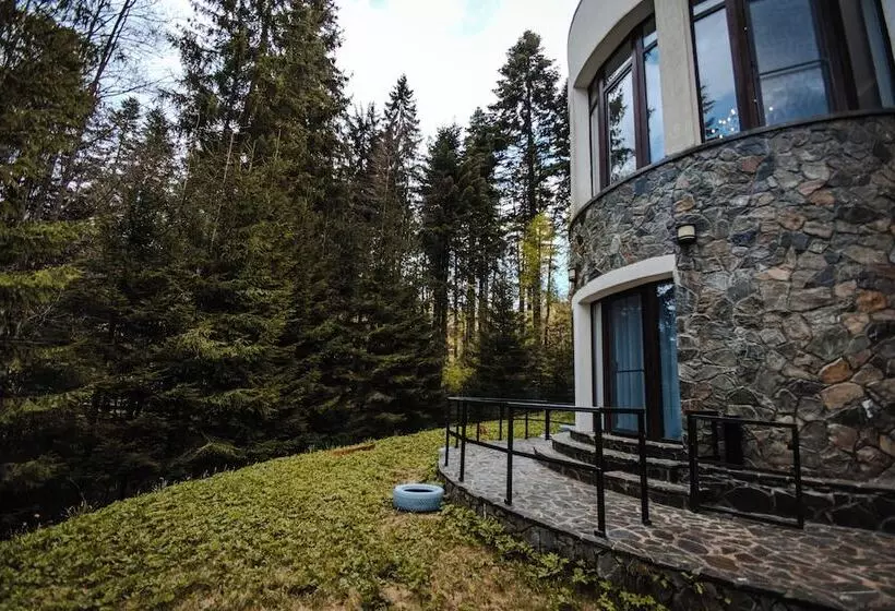 تختخواب و صبحانه Villa Tom