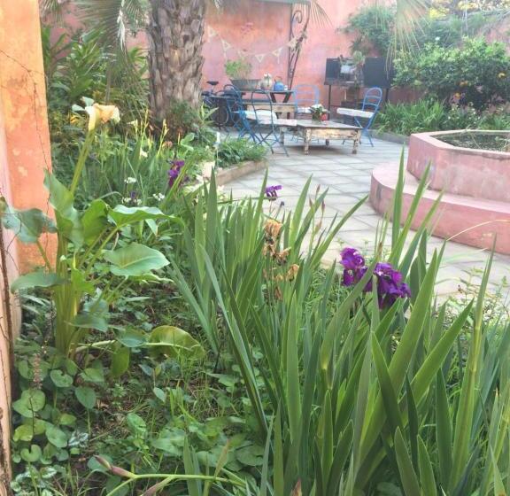 Casa Viva Hotel Boutique