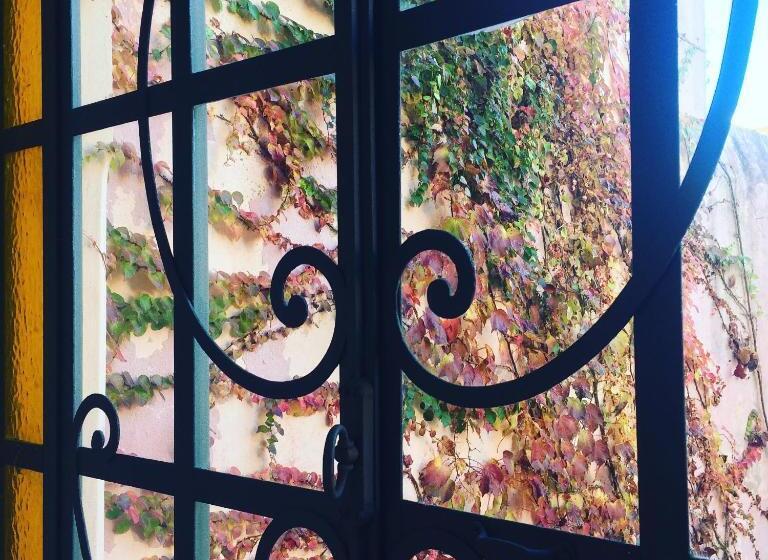 Casa Viva Hotel Boutique