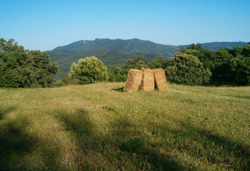 호텔 Agriturismo Fienile Del Canalone