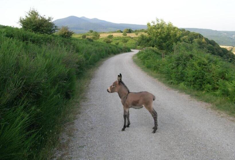 호텔 Agriturismo Fienile Del Canalone