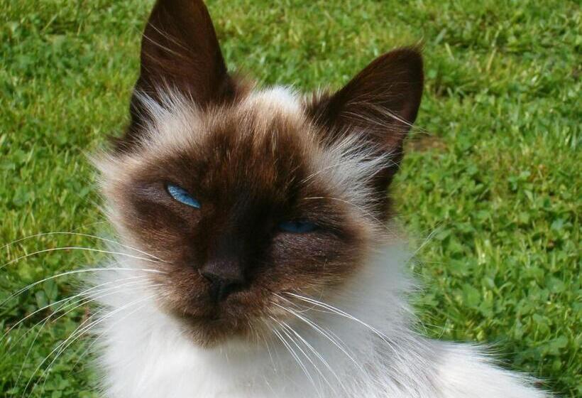 호텔 Agriturismo Fienile Del Canalone