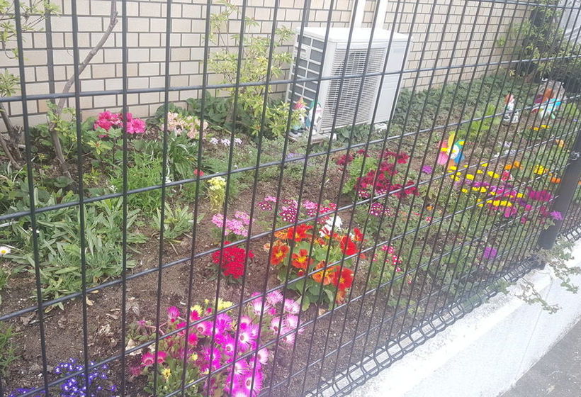 فندق صغير Rodem House