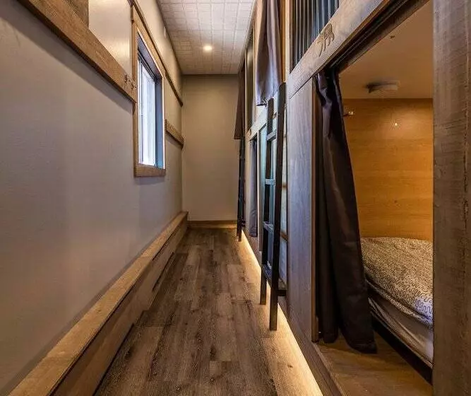 هاستل The Raging Elk Adventure Lodging