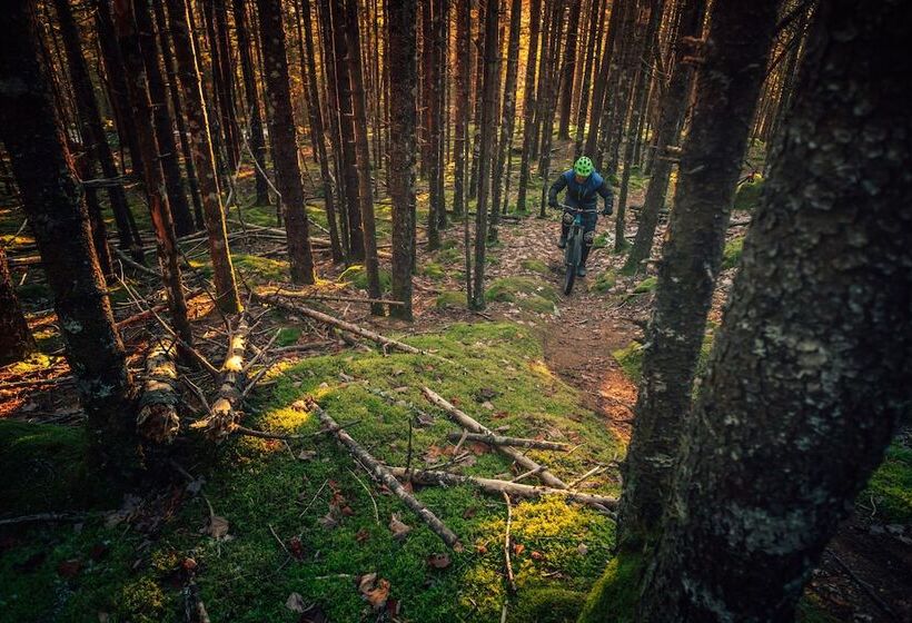 هاستل The Raging Elk Adventure Lodging