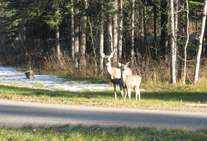 ベッドアンドブレックファースト Rustlers Lodge