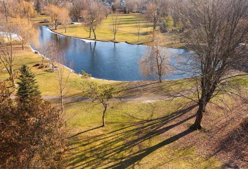 مبيت وإفطار The White House