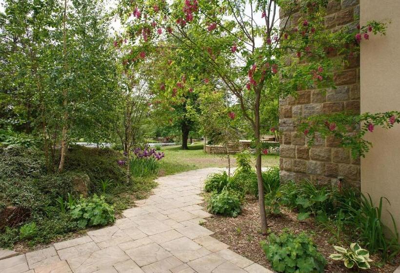 مبيت وإفطار The White House