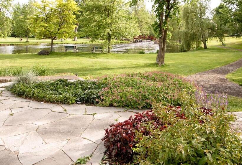 مبيت وإفطار The White House