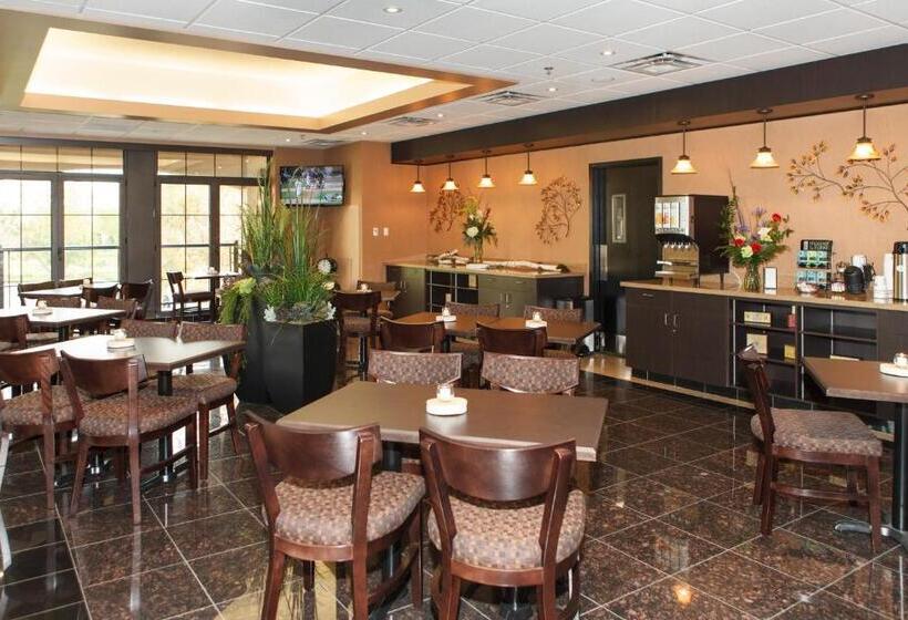 مبيت وإفطار The White House