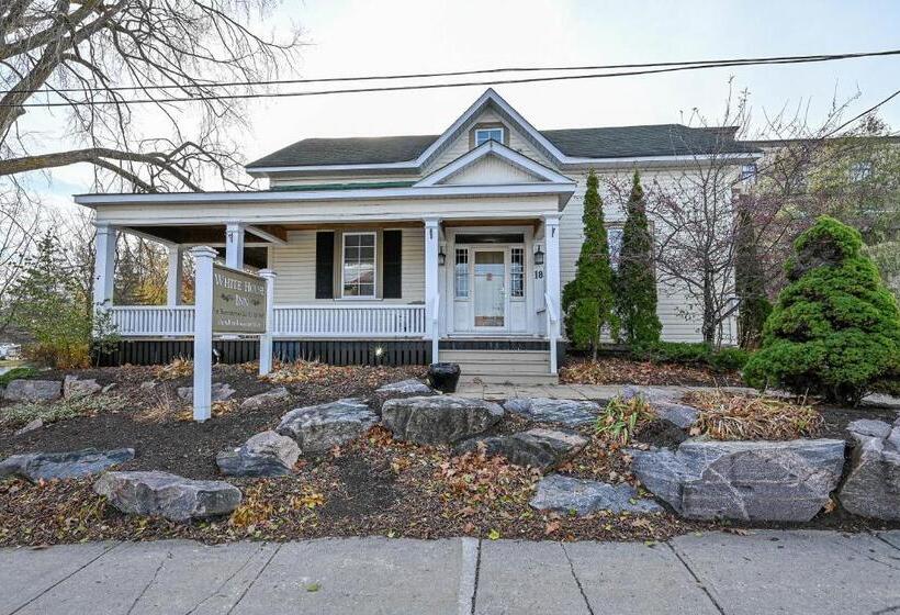 مبيت وإفطار The White House