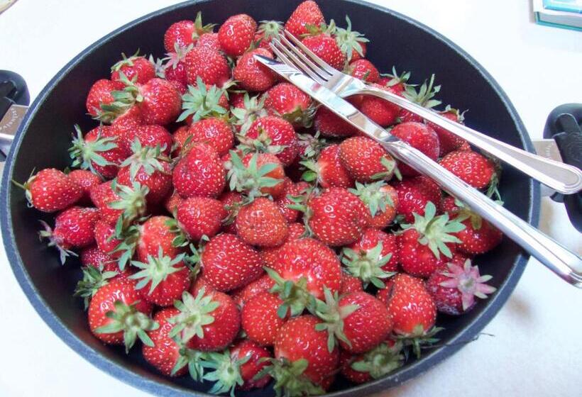 End Of The Road B & B