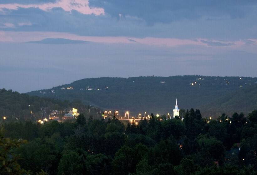 Le Petit Clocher Gite Touristique B & B