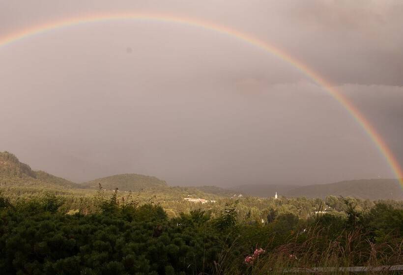 Le Petit Clocher Gite Touristique B & B