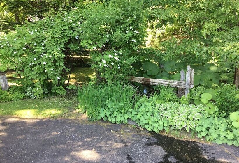 Le Petit Clocher Gite Touristique B & B