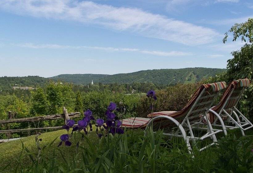 Le Petit Clocher Gite Touristique B & B