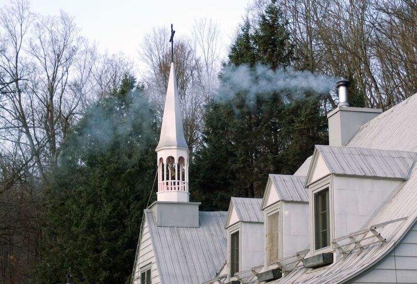 Le Petit Clocher Gite Touristique B & B