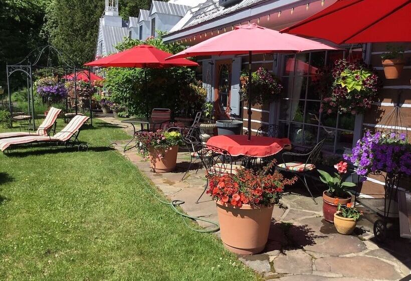 Le Petit Clocher Gite Touristique B & B