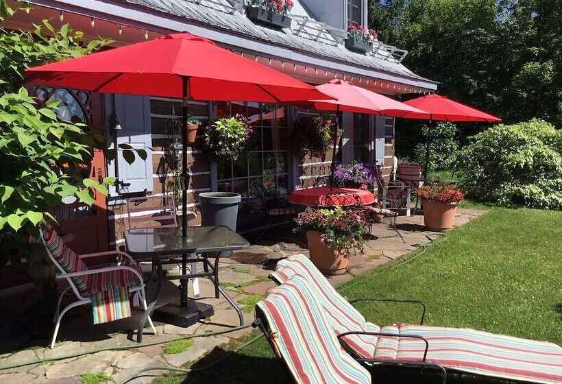 Le Petit Clocher Gite Touristique B & B