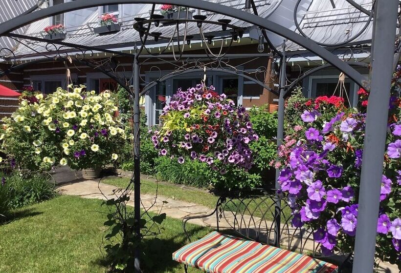 Le Petit Clocher Gite Touristique B & B