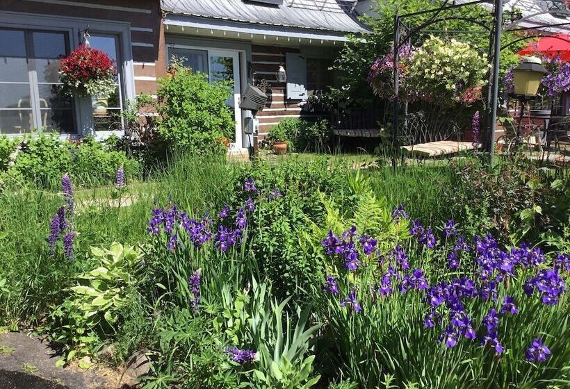 Le Petit Clocher Gite Touristique B & B